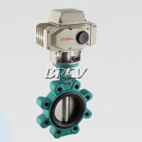 電動(dòng)凸耳式蝶閥