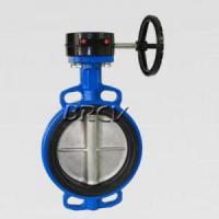 渦輪法蘭式軟密封蝶閥